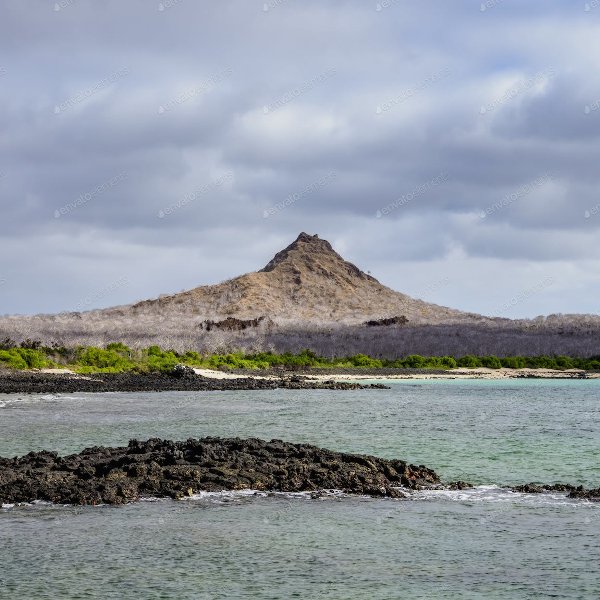 Galapagos iguanas on Dragon Hill Santa Cruz Island